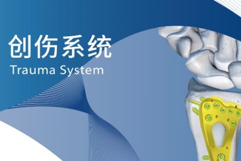 創(chuàng)傷系統(tǒng)宣傳彩頁